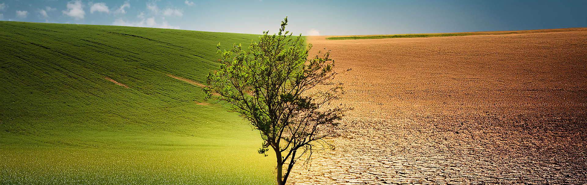 脱炭素・SDGs時代の企業戦略 サステナビリティ経営成功の鍵とは?