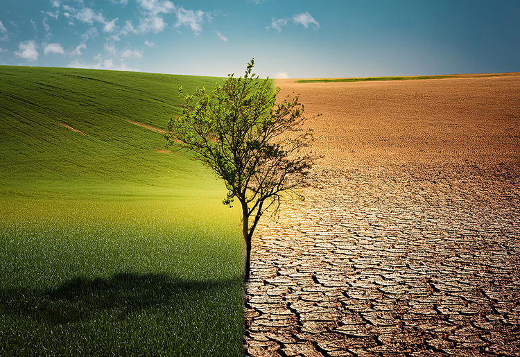 脱炭素・SDGs時代の企業戦略 サステナビリティ経営成功の鍵とは?