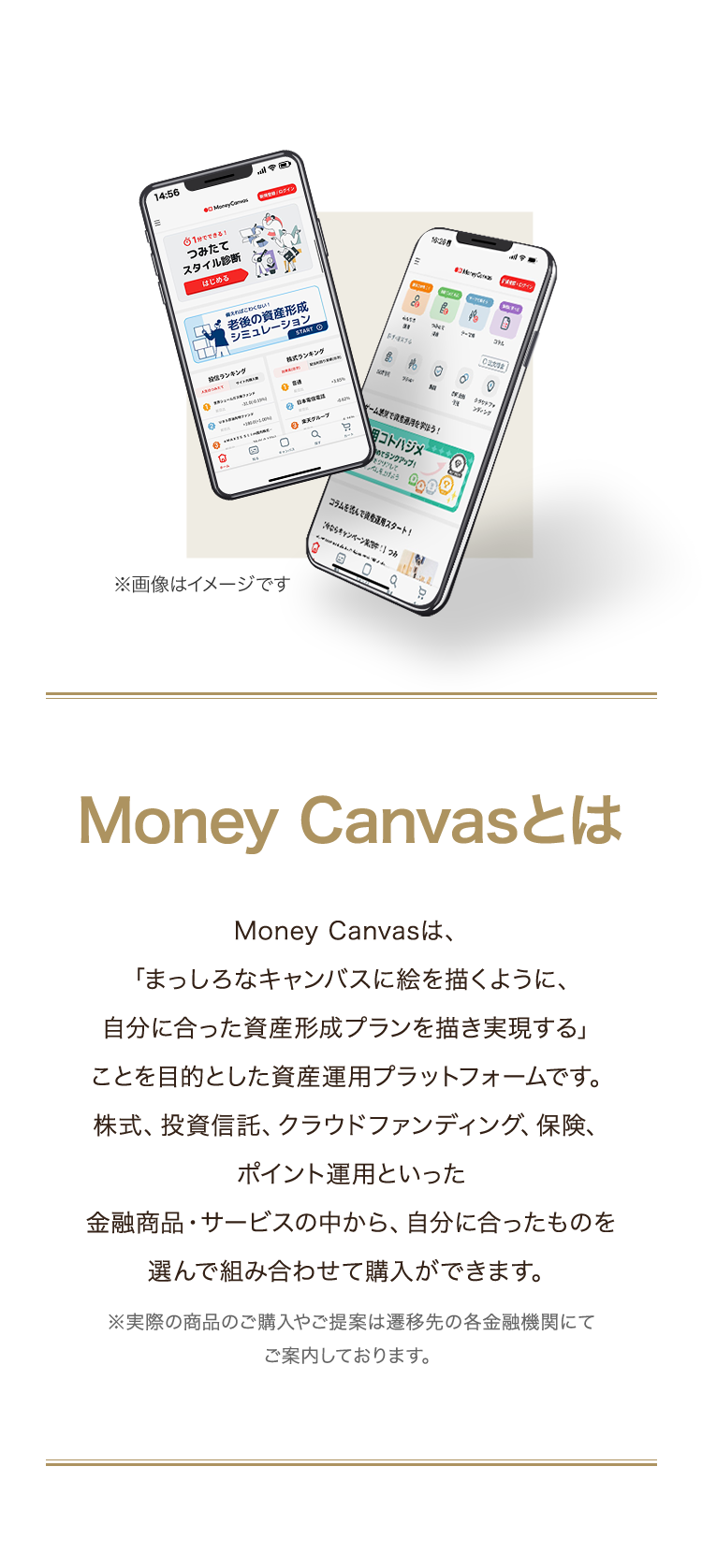 Money Canvasとは