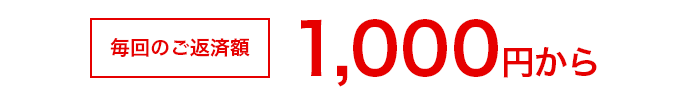 毎回のご返済額 1,000円から