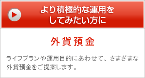 より積極的な運用をしてみたい方に 外貨預金 ライフプランや運用目的にあわせて、さまざまな外貨預金をご提案します。