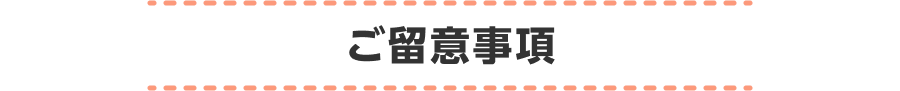 ご留意事項