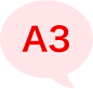 A3