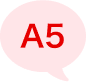 A5