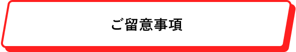 ご留意事項