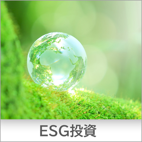 ESG投資 