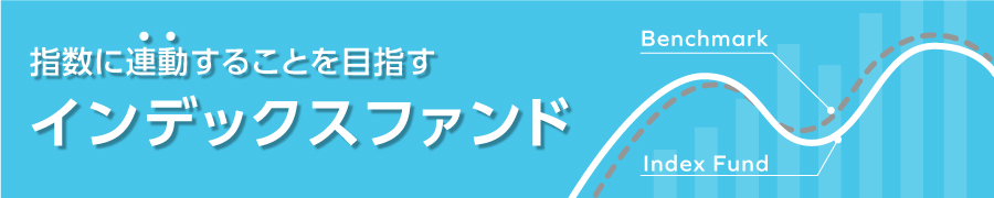 指数に連動することを目指すインデックスファンド