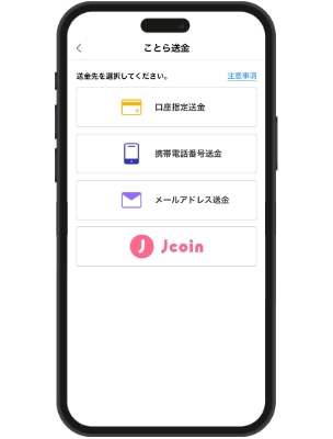 送金方法の選択