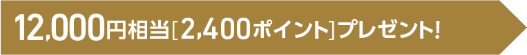 12,000円相当（グローバルポイント2,400ポイント）プレゼント！