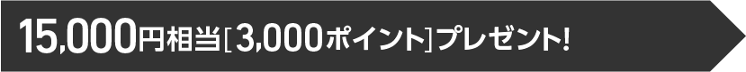 15,000円相当（グローバルポイント3,000ポイント）プレゼント！