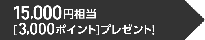 15,000円相当（グローバルポイント3,000ポイント）プレゼント！