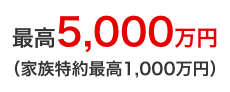 最高5,000万円(家族特約最高1,000万円)