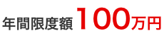年間限度額100万円