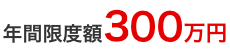 年間限度額300万円