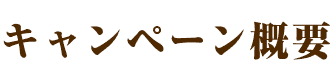 キャンペーン概要